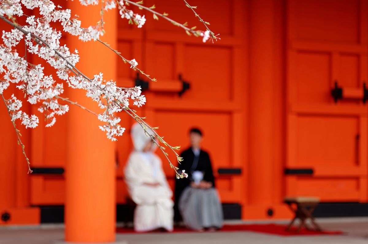 羽織袴と白無垢の衣裳のふたりが神社で結婚式を挙げている様子